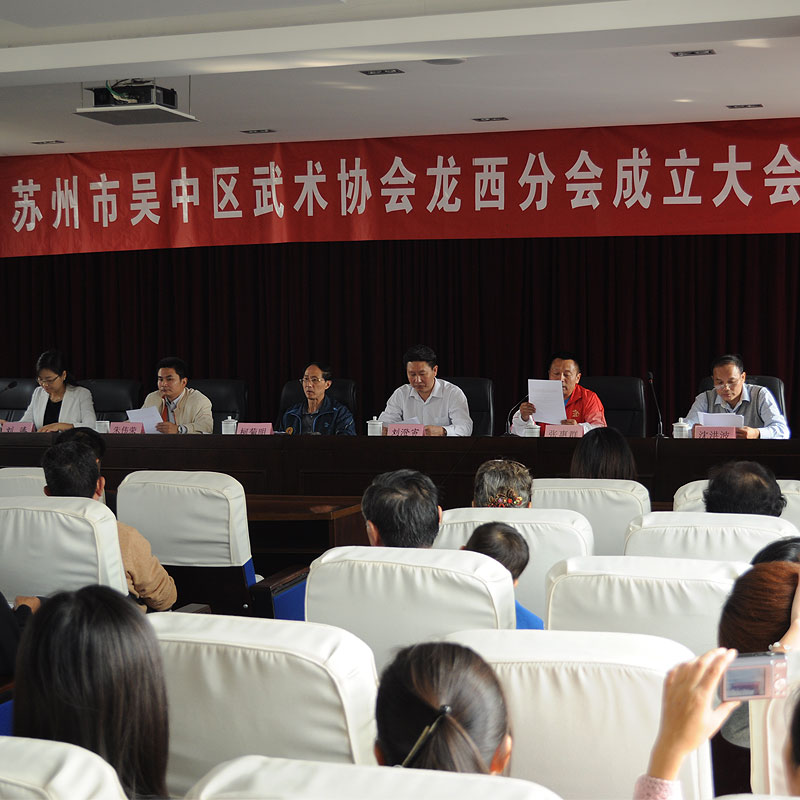 龙西分会成立大会
