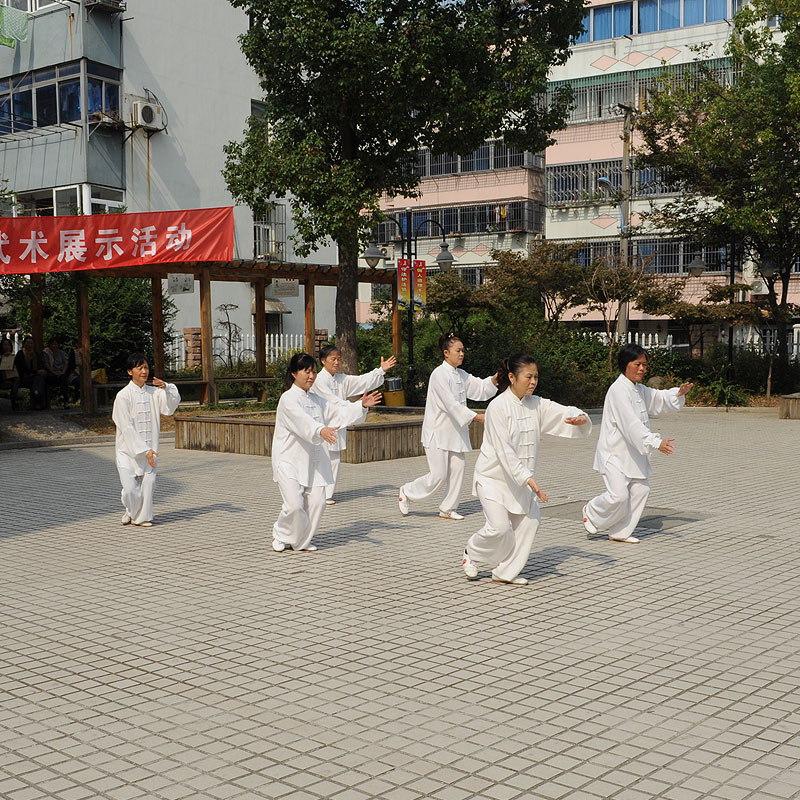 集体24式简化太极拳