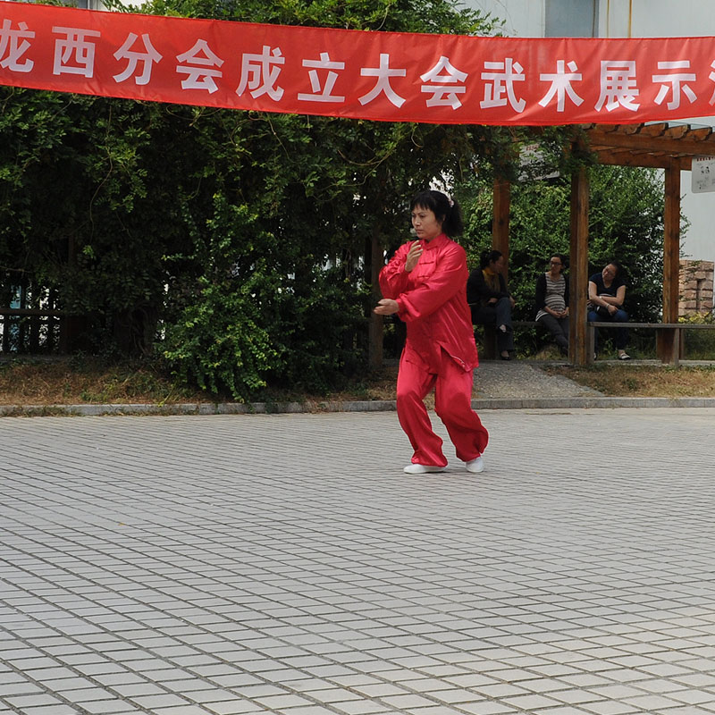 司新玲：陈式56式太极拳