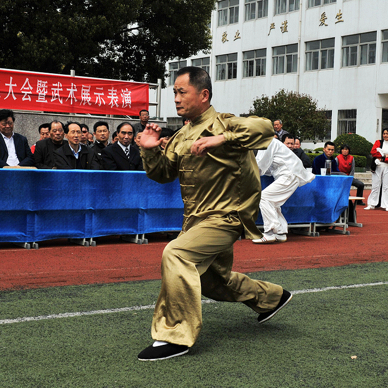 陶铸武：八极拳