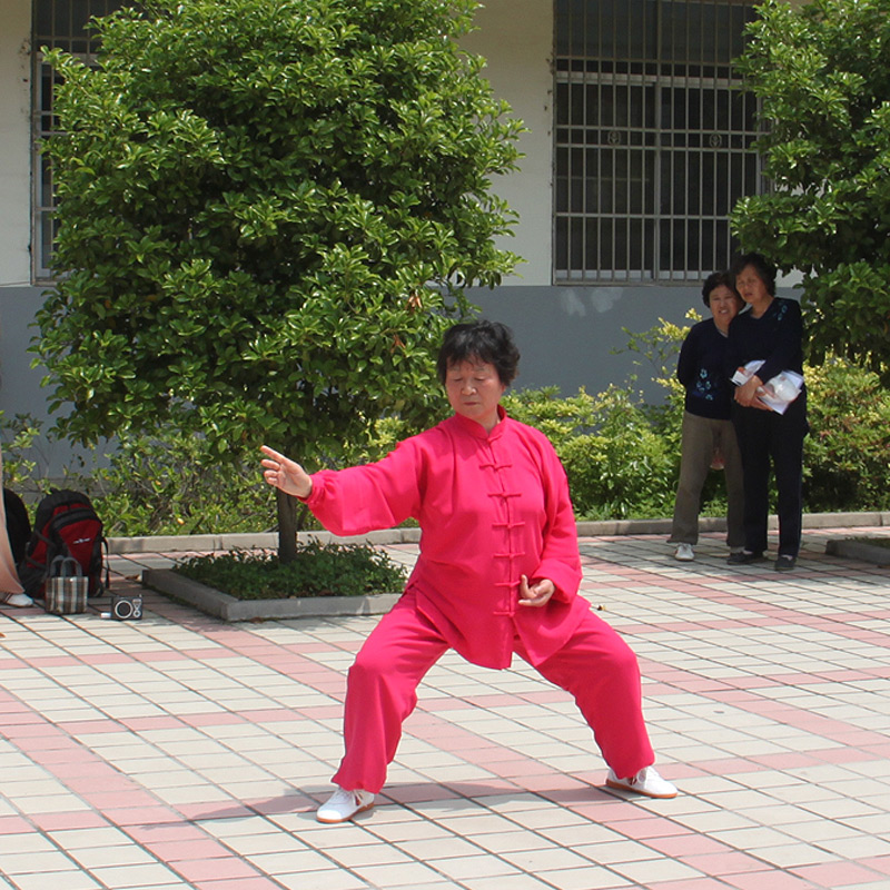 卢巧珍：混元拳