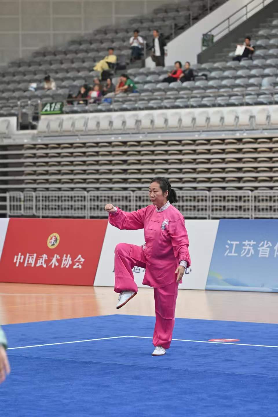 陈炜：陈式心意混元48式太极拳一等奖